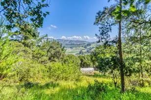 415 Carpenteria Rd, Aromas, CA 95004 - Photo 2