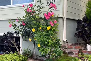 1931 Glen Ave, San Bruno, CA 94066 - Photo 46