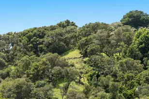 3307 Bay Ct, Belmont, CA 94002 - Photo 24