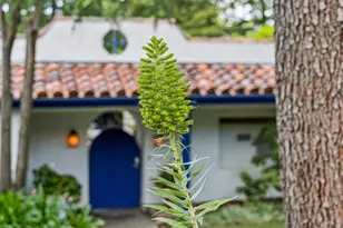 237 Harding Ave, Los Gatos, CA 95030 - Photo 6