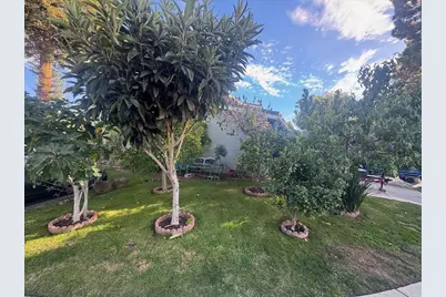 1010 Polk Ln, San Jose, CA 95117 - Photo 22