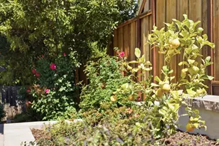875 Buckland Ave, San Carlos, CA 94070 - Photo 84