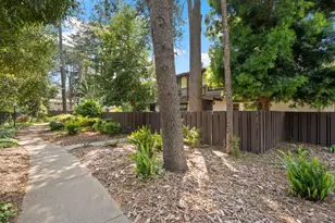 374 Serramonte Terrace, Fremont, CA 94536 - Photo 50