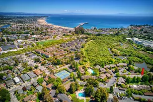 138 Tree Frog Ln, Santa Cruz, CA 95060 - Photo 38