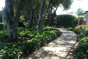 68 Palomar Real 68, Campbell, CA 95008 - Photo 28