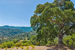 21668 Toll Gate Rd, Saratoga, CA 95070 - Photo 54