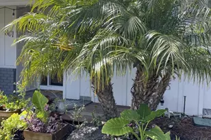 801 Monica Ln, Campbell, CA 95008 - Photo 14