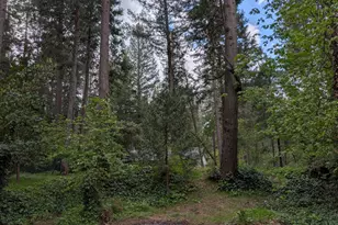 13020 Sadie D Dr, Nevada City, CA 95959 - Photo 56
