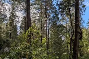 13020 Sadie D Dr, Nevada City, CA 95959 - Photo 54