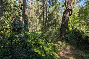 13020 Sadie D Dr, Nevada City, CA 95959 - Photo 52