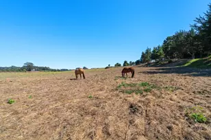 112 Holiday Dr, La Selva Beach, CA 95076 - Photo 106