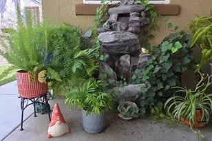 2041 Santoro Wy, Hollister, CA 95023 - Photo 32