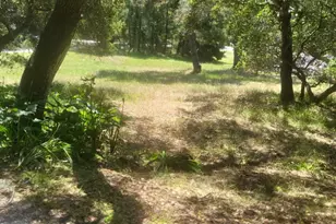 473 Hidden Valley Rd, Royal Oaks, CA 95076 - Photo 4