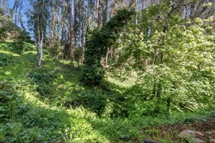 3700 Hardin Way, Soquel, CA 95073 - Photo 14