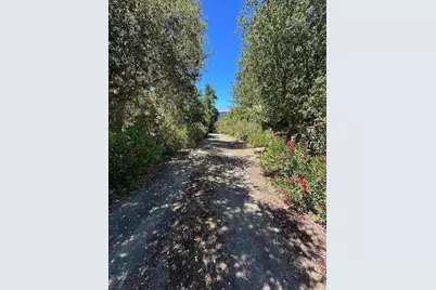 389 Moore Rd, Woodside, CA 94062 - Photo 22