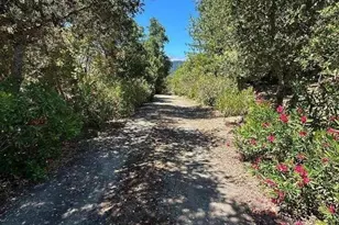 389 Moore Rd, Woodside, CA 94062 - Photo 22
