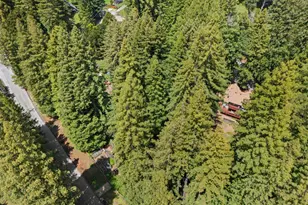 266 Coffeeberry Dr, Boulder Creek, CA 95006 - Photo 76