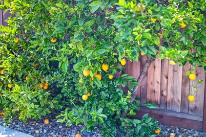786 Lakewood Dr, Sunnyvale, CA 94089 - Photo 80