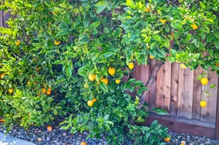 786 Lakewood Dr, Sunnyvale, CA 94089 - Photo 80