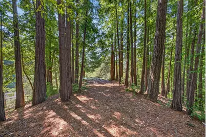 780 Elsie Mae Dr, Boulder Creek, CA 95006 - Photo 52