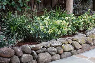 10531 Castine Ave, Cupertino, CA 95014 - Photo 34