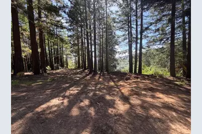 7175 Redwood Retreat, Gilroy, CA 95020 - Photo 2