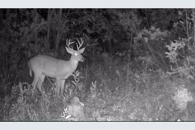 00 Cinnabar Hills Rd, San Jose, CA 95120 - Photo 20