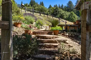 1560 Tindall Ranch Rd, Corralitos, CA 95076 - Photo 32