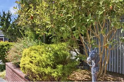 2021 Bordeaux Ln, Half Moon Bay, CA 94019 - Photo 62