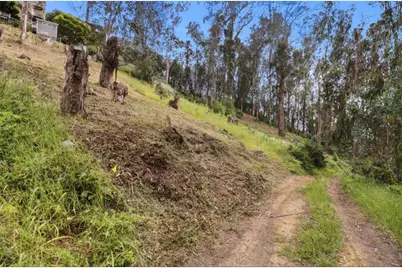 Avenue Portola, El Granada, CA 94019 - Photo 6