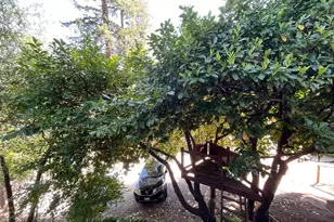 200 Railroad Ave, Ben Lomond, CA 95005 - Photo 38