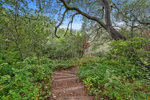 2215 Coronet Blvd, Belmont, CA 94002 - Photo 46