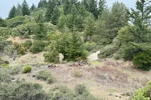 105 Silverline Rd, Los Gatos, CA 95033 - Photo 20