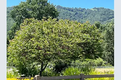 1015 Oak Brook Way, Gilroy, CA 95020 - Photo 56