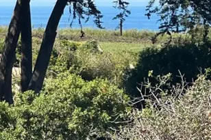 111 Seascape Resort Dr, Aptos, CA 95003 - Photo 1