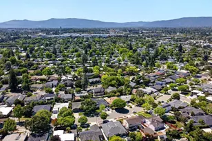 2377 Tulip Rd, San Jose, CA 95128 - Photo 58