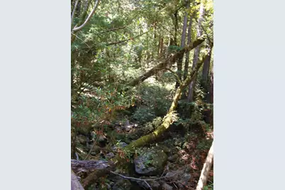 7150 Croy Rd A, Morgan Hill, CA 95037 - Photo 64