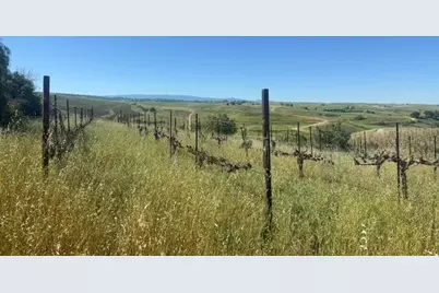 10011 Tesla Road, Livermore, CA 94550 - Photo 6