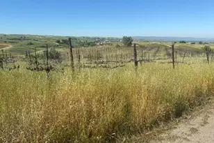 10011 Tesla Rd, Livermore, CA 94550 - Photo 4