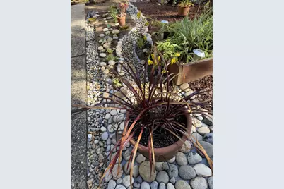 14 Fernwood Dr, Boulder Creek, CA 95006 - Photo 2