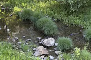 14 Fernwood Dr, Boulder Creek, CA 95006 - Photo 20