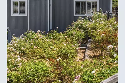 732 Colleen Dr, San Jose, CA 95123 - Photo 72