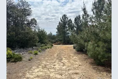 15950 Summit Rd, Watsonville, CA 95076 - Photo 26