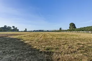 3390 Fallon Rd, Hollister, CA 95023 - Photo 104