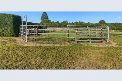 3390 Fallon Rd, Hollister, CA 95023 - Photo 94