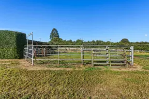 3390 Fallon Rd, Hollister, CA 95023 - Photo 94