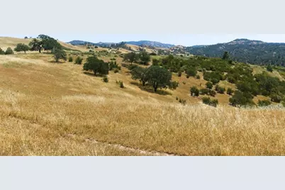 31341 Airline Hwy, Paicines, CA 95043 - Photo 72