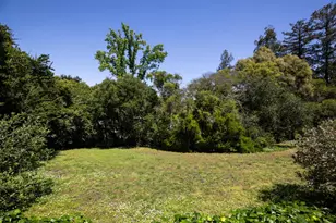 746 Santa Ynez St, Stanford, CA 94305 - Photo 40