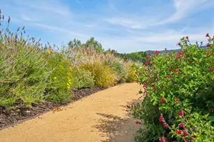 27690 Central Dr, Los Altos Hills, CA 94022 - Photo 58