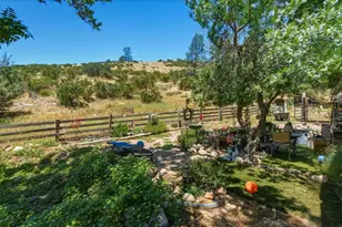 31341 Airline Hwy, Paicines, CA 95043 - Photo 54
